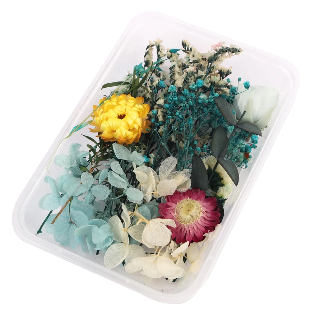 1 Polje Posušen Cvet Materiala, Embalaže, Nesmrtni Rastlin Dišeče Sveče Epoksi Smolo Obrti DIY Dodatki za zabavo Dekoracijo