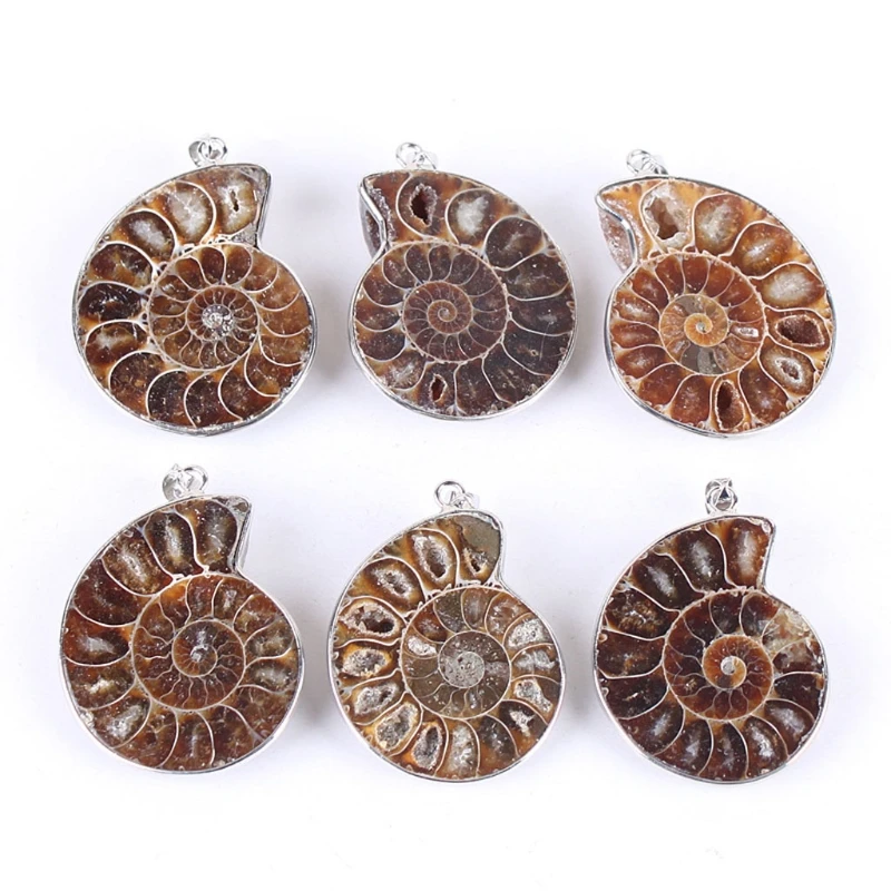 Naravni Ammonite Fosili Obesek Nakit Srebrni Ton Ammonite Fosili Kamen Zavit Ogrlico, Obesek, Modni Nakit