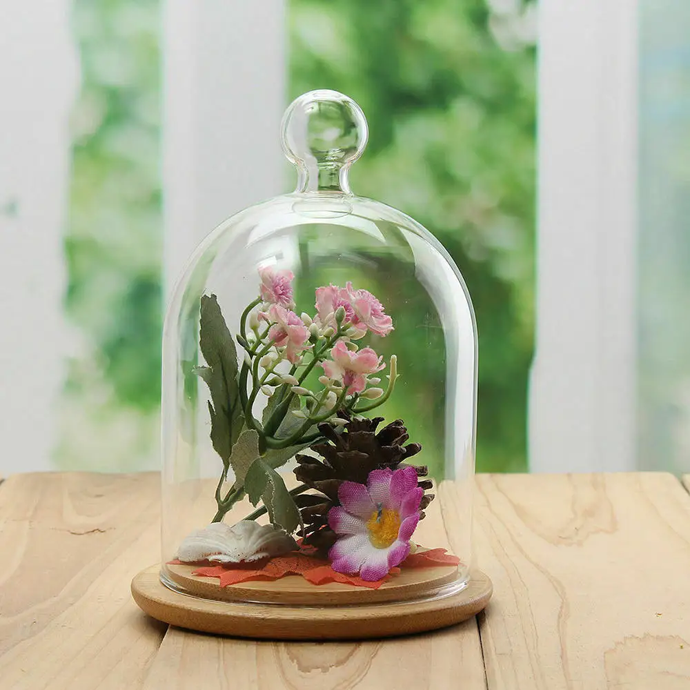 Doma Dekor Vaze, Steklene Cvet Zaslon Cloche Bell Jar Dome Nesmrtni Ohranjanje + Leseno Osnovo Večno Pokrov