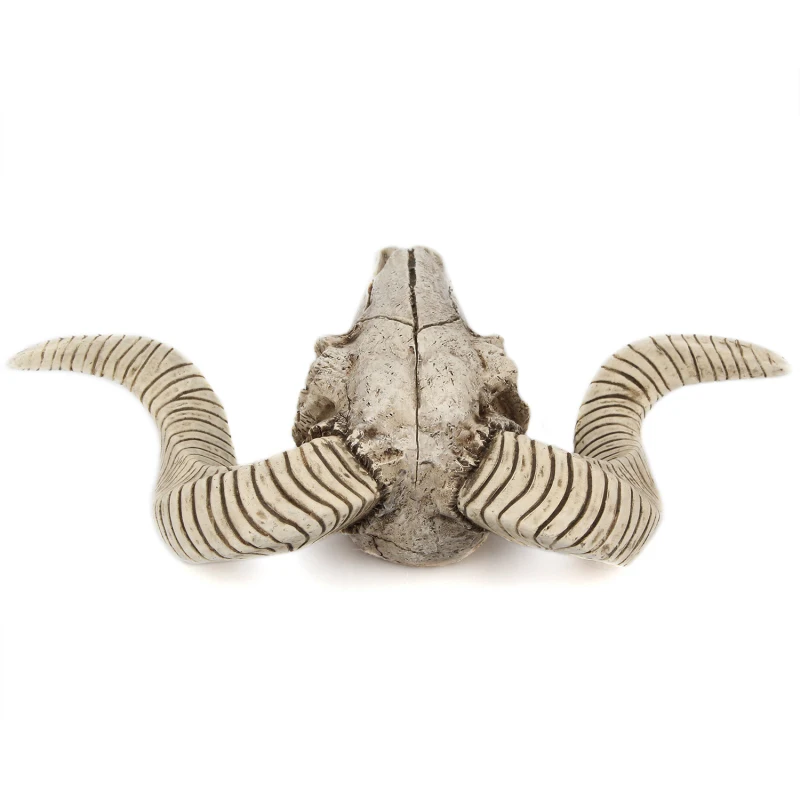 Retro Rogovi/Shofar Lobanje Ornament 3D Wildlife Skulptura Okostnjaka Ornament Stenski Dekor Ustvarjalne Home Office Dekor Darilo Živalske Lobanje