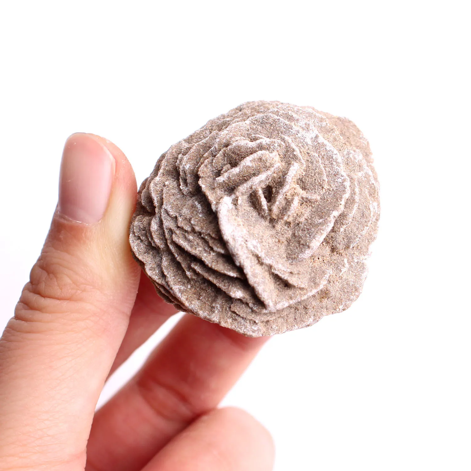 1PC Naravnih Maroški Puščavi Rose Stone Selenit Simbiotičnem Kristalno Monomer Kamen, Cvet Mineralnih odvzem Zdravljenje Dekor