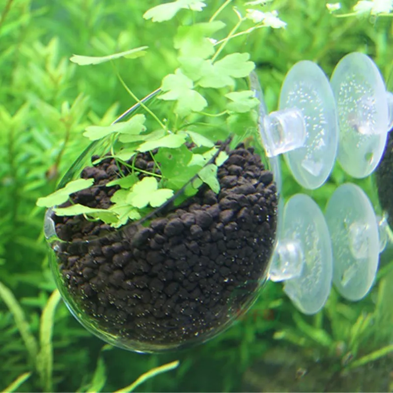 Akvarij Semena Vodo, Travo, Lonci Enostavno Vodnih Živih Rastlin Fish Tank Okras Pokrajine Ornament