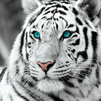 Kamy Yi Diy 5d Kvadratnih Diamond Ročno Krog Nosorogovo Navzkrižno Šiv White Tiger Živali Slike Umetnost, Fotografijo, Doma Dekoracijo