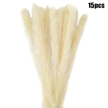 15pcs Naravno Sušene Pampe Travo Reed Cvetlični Šopek Šopek Doma Poroko Cvetlični Dekor 60-80 cm TT-najboljši