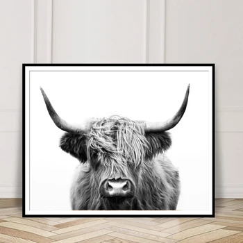 Nordijska Black &White Highland Krava Platna, Plakati, Škotskega Goveda Wall Art Barvanje, Tiskanje Slike Dnevna Soba Dekor Cuadros
