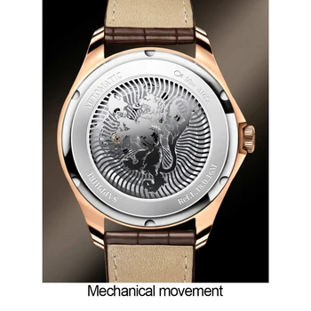 Lobinni Švica Luksuzne blagovne Znamke moških watch ura vrh galeb moški mehanske ure moda Relogio Masculino Za Svetlobna