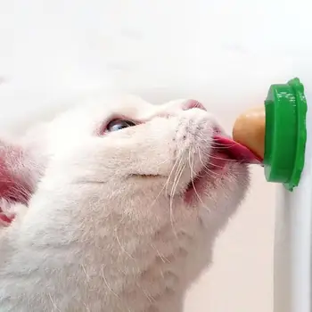 Naključno mačka sladkarije lizanje glasbe lepljive stene spodbujajo prebavo mačka prigrizki hišnih mačk sladkarije