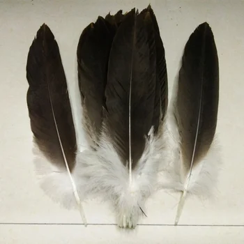 10Pcs/Veliko Naravnih Orel Ptičje Perje 30-40 cm/12-16inch fazan Izbrani Predsednik Orel Perje Plumas Carnaval Plume Dekoracijo