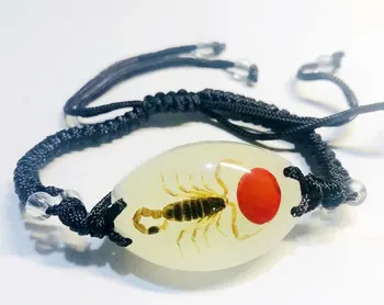 10 kos Svetlobna zapestnica pribor Pravi rumena scorpions, je nakit za moške, Posebno darilo na strani
