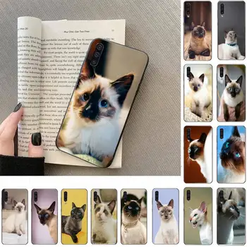 Pet crossocheilus mačka Primeru Telefon Za Samsung Galaxy a50 A30S A50S a71 70 a10 primeru samsung a51 Coque Mobilne Primerih