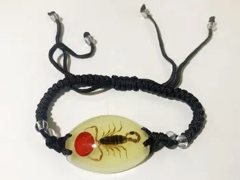 10 kos Svetlobna zapestnica pribor Pravi rumena scorpions, je nakit za moške, Posebno darilo na strani