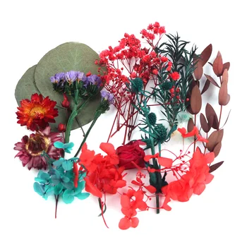 1 Polje Posušen Cvet Materiala, Embalaže, Nesmrtni Rastlin Dišeče Sveče Epoksi Smolo Obrti DIY Dodatki za zabavo Dekoracijo