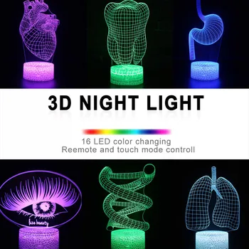 3D Novost Človeških Organov Noč Svetlobe LED 16 Barv Romote Nadzor namizne Svetilke Vzdušje Za Spalnice Otroci, Otroci Božično Darilo