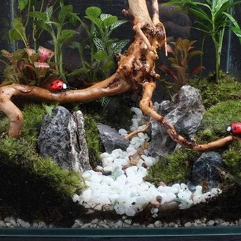 VROČE Akvarij Driftwood Naravnega Lesa Plazilcev Veje Fish Tank Drevo Rastlin Štor Ornament Dekor 4 KOS