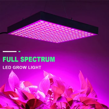Fito Lučka 1000W Celoten Spekter LED Grow Light Svetilka Za Rastline Rdeča Modra Bela Led Notranji rasti Sadik Gojenje Fitolamp