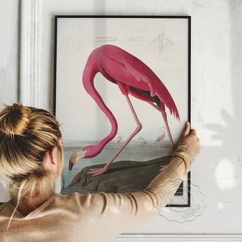 Skandinavski Retro Ptica Plakat, Pink Flamingo Stenske Nalepke, Skandinavski Slog Wall Art Slike Domači Dnevni Sobi Notranje Zadeve Dekor Darilo
