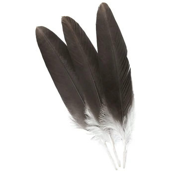 10Pcs/Veliko Naravnih Orel Ptičje Perje 30-40 cm/12-16inch fazan Izbrani Predsednik Orel Perje Plumas Carnaval Plume Dekoracijo
