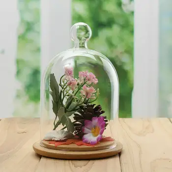 Doma Dekor Vaze, Steklene Cvet Zaslon Cloche Bell Jar Dome Nesmrtni Ohranjanje + Leseno Osnovo Večno Pokrov